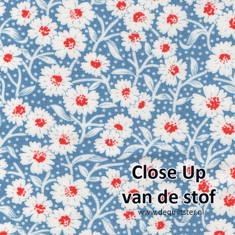 Rosie | Picnick Bloom Blueberry [35424-18]