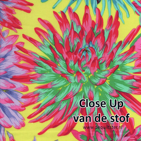 Kaffe Fassett | Cactus Dahlia in Spring [PWPJ054.SPRING]