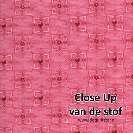 Poppie Cotton | Barnyard Bandana - Hot Kisses Pink [BB21313]