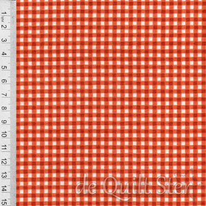 Beautifully Basics | Ruitje Pumpkin [610O3]