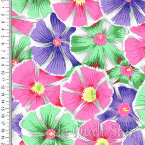 Kaffe Fassett Collective | Pinwheels [PJ117]