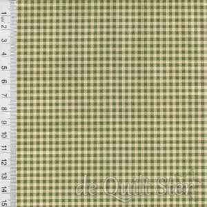 Dutch Heritage Gingham | Green [1031]