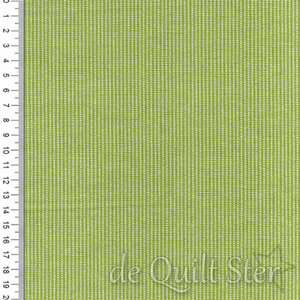 Kimberbell Basics | Perforated Stripe Green [8259G]