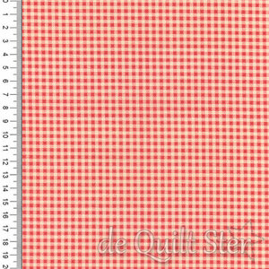 Dutch Heritage Gingham | Orange [1031]