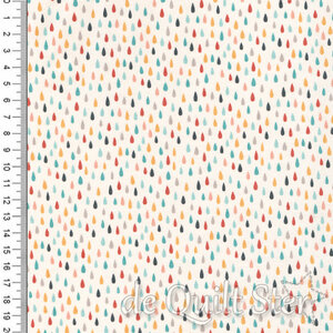 Noah's Ark | Regendruppels op de savanne [20875-11]