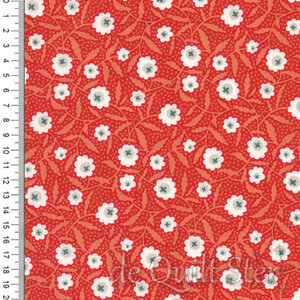 Flower Box | Bachelor Button Orange [1016O]