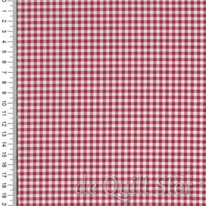 Cozy House | Petite Gingham Garnet [1253R]