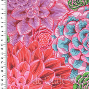 Kaffe Fassett Collective | House Leeks Pink [PJ113]