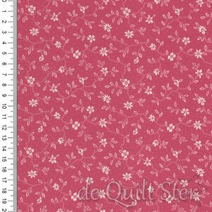 Goodnight Irene | Blossom Carnation [31705-20]