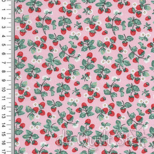 Home Sweet Home | Strawberry Cake Pink [24453]