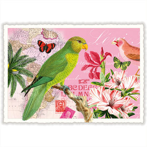 Edition Tausendschön | Ansichtkaart A6 | Papagaai [PK984]