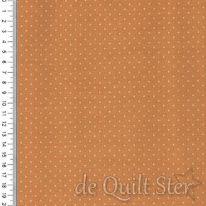 Poppy Seeds | Sunrise [1526O]