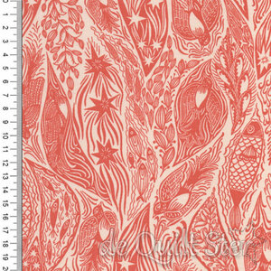 Shooting Star | Current Tangerine [AMT118-59V]