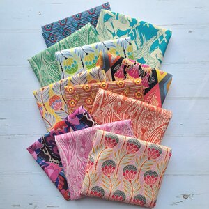 Bundel | Shooting Star 11x FQ