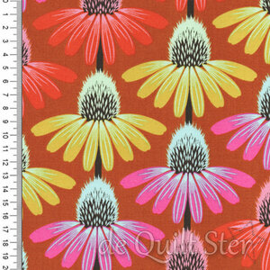 Perenial Borders | Echinacea Rhythm Fire [AMT136-79V]